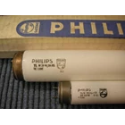 Lampu PHILIPS TL-D 15W / 54-765  450mm 2